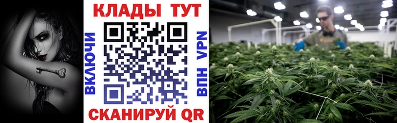 Где продают наркотики Осинники Псилоцибиновые грибы  Альфа ПВП  МАРИХУАНА  МЕФ  COCAIN 